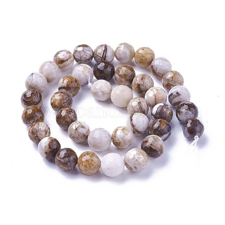 Chapelets de perles en bois pétrifié amérique naturelle G-P430-15-D-1