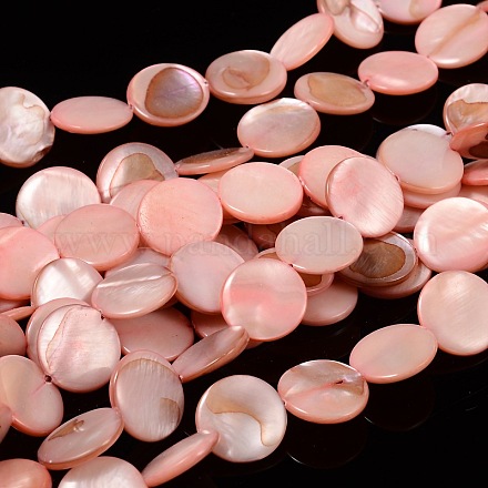Chapelets de perles de coquillage naturel X-PBB251Y-6-1