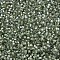 MIYUKI Delica Beads, Cylinder, Japanese Seed Beads, 11/0, (DB2378) Inside Dyed Willow, 1.3x1.6mm, Hole: 0.8mm, about 20000pcs/bag, 100g/bag