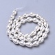 Perles de perles de coquillages polies X-BSHE-L042-A05-3