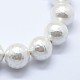 Chapelets de perles de coquille BSHE-K053-02-18mm-3