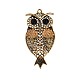 Tibetan Style Alloy Rhinestone Owl Big Pendants ALRI-J014-14AG-1