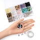 Mixed Stone Chip Beads Kit for DIY Jewelry Set Making DIY-FS0002-23-4