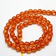 Buddhist Jewelry Beaded Findings Resin Imitation Amber Round Bead Strands RESI-L002-6mm-G014-3