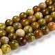 Natural Yellow Opal Beads G-P446-02C-1