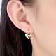 Classic Tin Alloy Leverback Earrings EJEW-BB20927-2