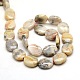 Oval Natural Picture Jasper Beads Strands G-P063-129-2