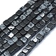 Natural Snowflake Obsidian  Beads Strands G-F631-C02-1