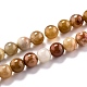 Chapelets de perles en bois pétrifié naturel G-O199-06A-1