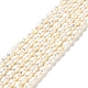 Natural Cultured Freshwater Pearl Beads Strands PEAR-E016-164-1