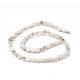 Brins de perles de coquille d'eau douce naturelles plaquées de couleur ab BSHE-G033-04-2