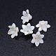 6-pétale de fleur perles de coquillage naturel d'eau douce SSHEL-P005-19-1