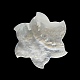 天然石シェルカボション  花  ホワイト  40.8x3mm SHEL-K008-02-3