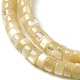 Fili di perline di conchiglia trochus naturale SHEL-K006-26-3