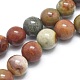 Chapelets de perles en jaspe avec images naturelles G-I254-05B-1