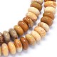 Natural Fossil Coral Beads Strands G-O180-19-3