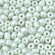 6/0 Glass Seed Beads SEED-S058-A-F408-3