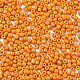 Glass Seed Beads SEED-S060-A-F429-3