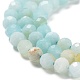 Brins de perles d'amazonite de fleurs naturelles G-J400-E07-02-4