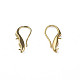 Brass Earring Hooks KK-N233-380-5