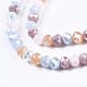 Glass Beads Strands GLAA-T006-16F-3