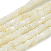 Нити бусин из натуральных пресноводных ракушек BSHE-G039-03