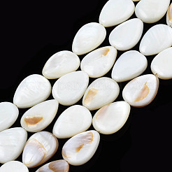 Shell normal de perles blanches de brins&nbsp;PBB263Y-1