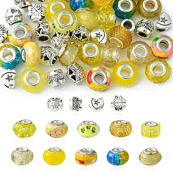 DIY-Sets zum Herstellen europäischer Perlen aus Legierung und Harz im tibetischen Stil&nbsp;DIY-FS0006-78B
