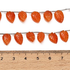 Hilos de cuentas talladas de cornalina natural&nbsp;GG-CBA0C95-E06