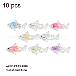 10 pendentif en acrylique lumineux transparent&nbsp;TACR-FP0001-02C