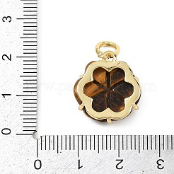 Pendentifs sculptés en œil de tigre naturel&nbsp;G-G330-01G-03