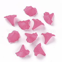 Abalorios de acrílico transparentes&nbsp;X-BSF796-C16