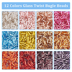 12 Farben Glas Twist Stiftperlen&nbsp;SEED-PH0002-17B