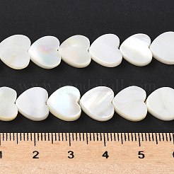 Natürlichen weißen Muschelperlen Stränge&nbsp;SSHEL-C013-06