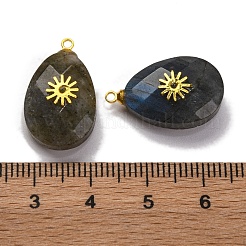 Natur Labradorit Anhänger&nbsp;G-B089-01G-04