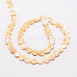 Fili di perle di cuore di conchiglia naturale&nbsp;SSHEL-M014-17