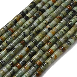 Natürliche afrikanische türkis (jasper) perlen stränge&nbsp;G-P608-A13-01