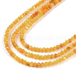 Naturali giallo perline shell fili&nbsp;BSHE-G036-09A