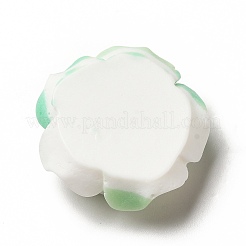 Farbverlauf opake Harz-Cabochons&nbsp;LS-CRES-D005-A05