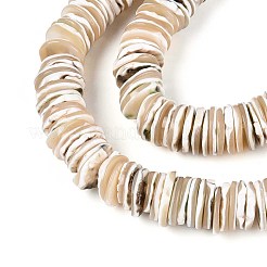 Leuchtende natürliche Muschelperlenstränge&nbsp;SSHEL-T017-34