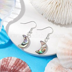Natürliche Abalone Muschel/Paua Muschel Ohrhänger&nbsp;EJEW-JE05916-02