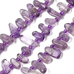 Natürlichen Amethyst Perlen Stränge&nbsp;G-L649-D05-02