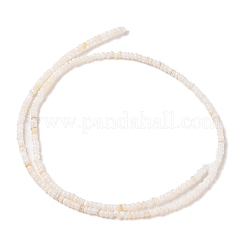 Eau douce naturelle de coquillage perles brins&nbsp;SHEL-P017-01A-02