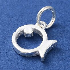 925 Sterling Silber hohler Fisch-Anhänger mit Biegeringen&nbsp;STER-E071-01S-09