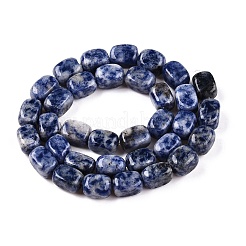 Natürliche blaue Fleck Jaspis Perlen Stränge&nbsp;G-T138-101