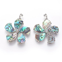 Abalone Muschel / Paua Muschel Anhänger&nbsp;SSHEL-L008-64A