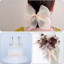 Rubans d'organza&nbsp;PW-WGF6B47-09