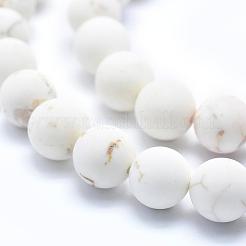 Fili di perline di magnesite naturale smerigliato&nbsp;TURQ-G148-10-10mm