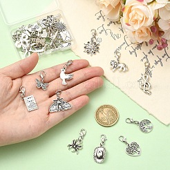 30 ciondolo decorativo in lega&nbsp;HJEW-YW00530