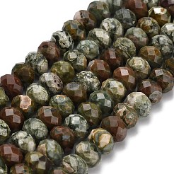 Riolite naturale perline di diaspro fili&nbsp;G-Z111-A14-01
